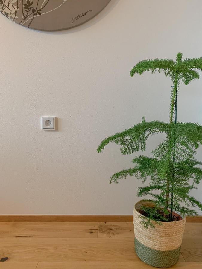 Landhaus Gappmaier Zell am See Zewnętrze zdjęcie